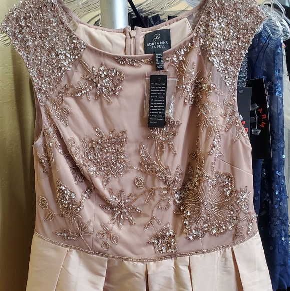 Adrianna Papell Gown - Picture 2 of 4